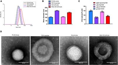 Surface PEGylated Cancer Cell Membrane-Coated Nanoparticles for Codelivery of Curcumin and Doxorubicin for the Treatment of Multidrug Resistant Esophageal Carcinoma